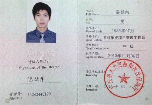 广东东莞中级系统集成项目管理工程师 信息系统集成服务的专业挂靠机遇